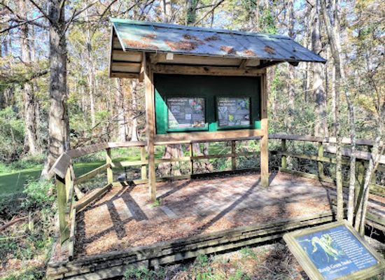 louisiana/northshore/attraction/northlake-nature-center