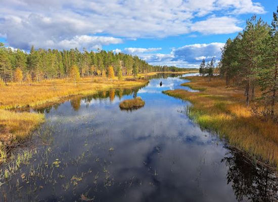 finland/karhunkierros-trail/attraction/tiilikkajarvi-national-park