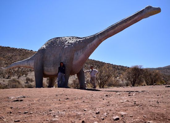 chile/coquimbo-region/attraction/pichasca-natural-monument