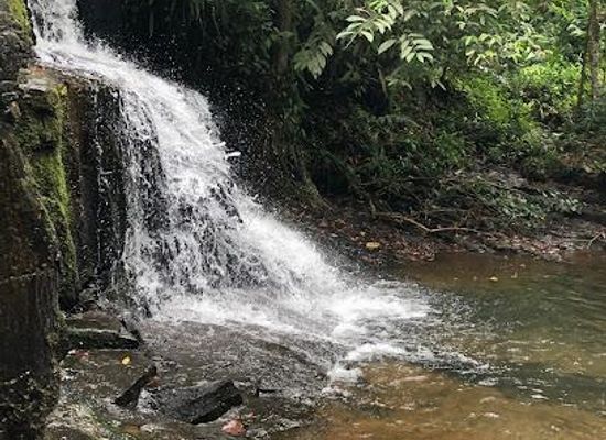 ecuador/tena/attraction/cascadas-yanayaku