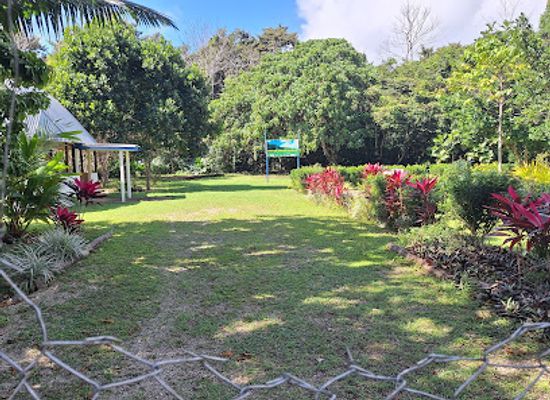 tonga/pangaimotu/attraction/toloa-rainforest