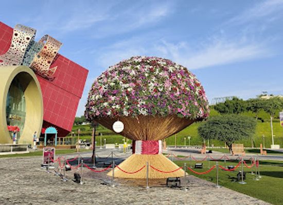 qatar/katara-cultural-village/attraction/world-s-largest-bouquet