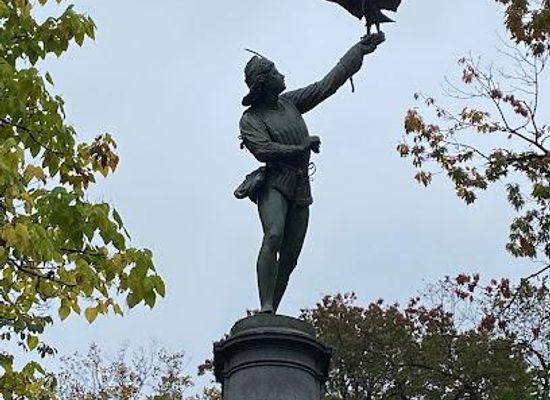 new-york/new-york-metropolitan-area/attraction/the-falconer