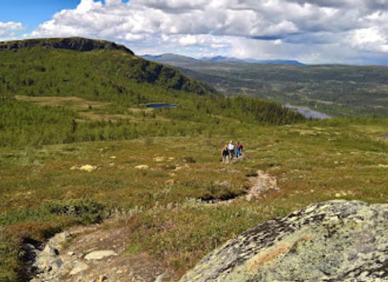 norway/oppland/attraction/langsua-national-park