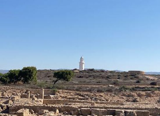 cyprus/kato-paphos/attraction/house-of-dionysus
