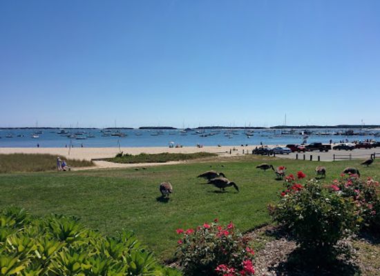 massachusetts/cape-cod/attraction/veterans-park-beach