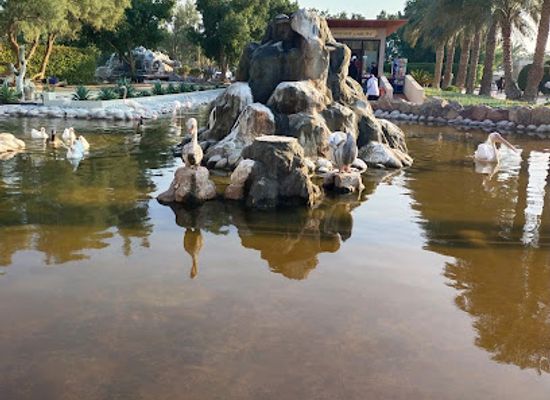 bahrain/southern-region/attraction/al-areen-zoo