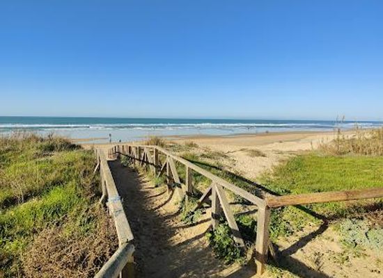 spain/andalusia/attraction/playa-de-el-palmar