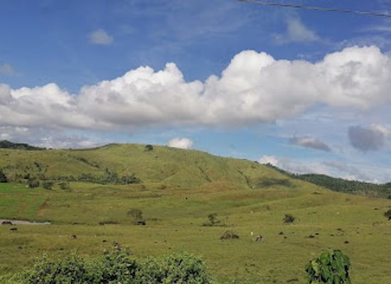 philippines/zamboanga-city/attraction/buenavista-grassland