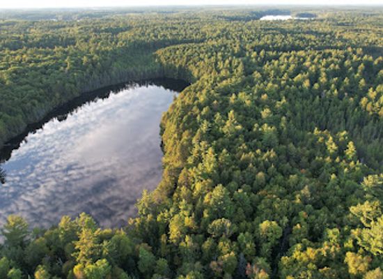 wisconsin/northern-highland/attraction/mcnaughton-lake-hiking-trail