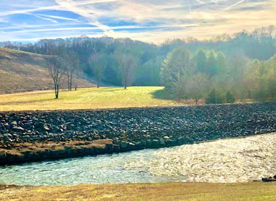kentucky/green-river-lake-state-park/attraction/green-river-lake-tailwaters