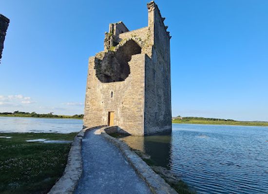 ireland/county-kerry/attraction/carrigafoyle-ballylongford-co-kerry-wetlands-wildlife