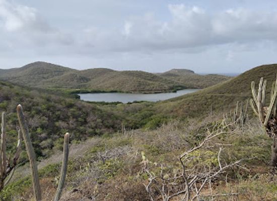 curacao/groot-santa-martha/attraction/marijke-s-nature-trail