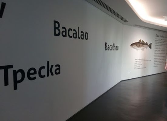 portugal/minho/attraction/museu-maritimo-de-ilhavo-e-aquario-dos-bacalhaus