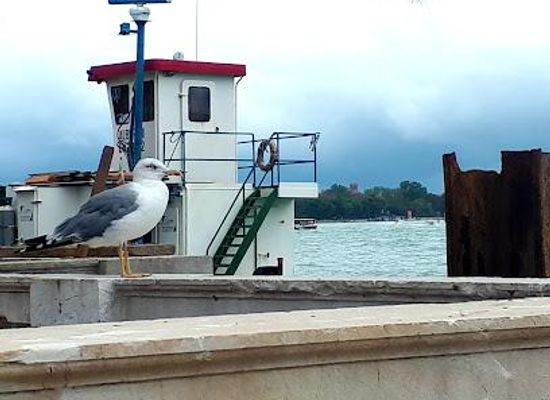 italy/venice/attraction/giardini-ex-reali