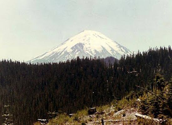 washington/mount-st-helens-area/attraction/ape-cave-interpretive-site