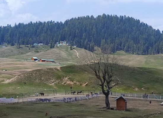 india/gulmarg/attraction/gulmarg-world-famous-destination