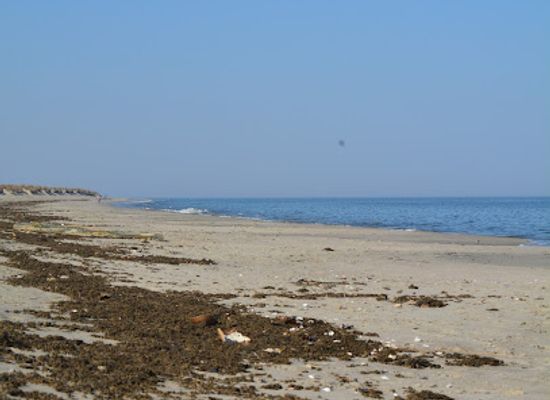 new-jersey/delaware-bayshore/attraction/beach-plum-island-nature-preserve
