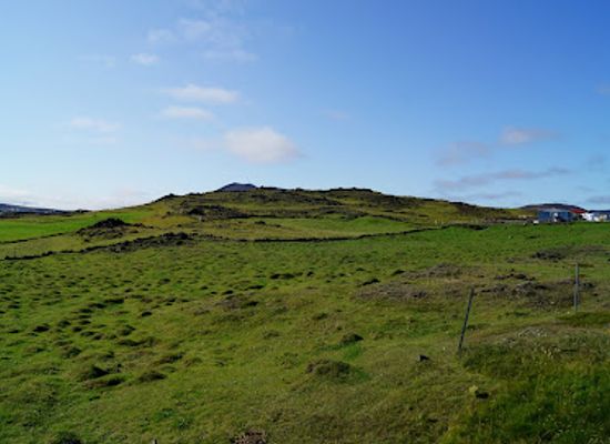 iceland/grindavik/attraction/arctic-horses