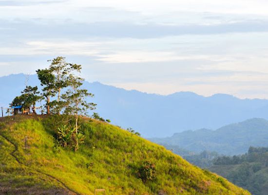 philippines/northern-mindanao/attraction/camarahan-ridge