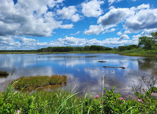 maine/southern-maine-coast/attraction/wells-reserve-at-laudholm