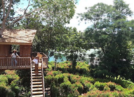 thailand/phuket/attraction/the-garden-maze-phuket-get-lost-in-the-labyrinth-the-upside-down-house