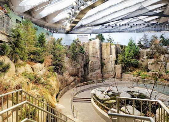 canada/monteregie/attraction/montreal-olympic-park