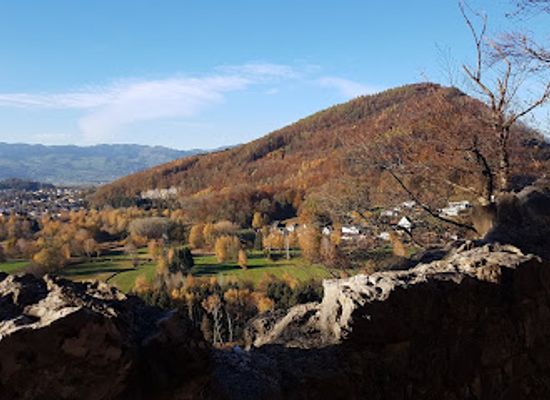 austria/bregenzerwald/attraction/burgruine-neuburg