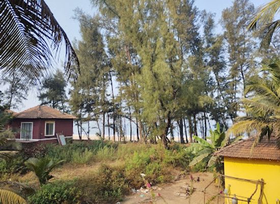 india/western-ghats/attraction/tondavali-talashil-beach