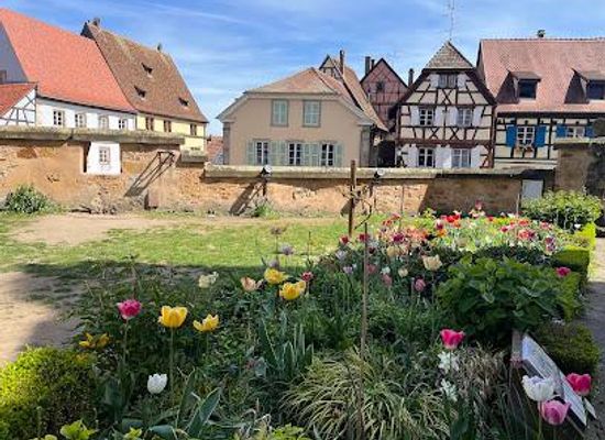 germany/freiburg/attraction/village-d-eguisheim