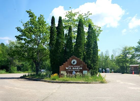 canada/eastern-ontario/attraction/wye-marsh-wildlife-centre