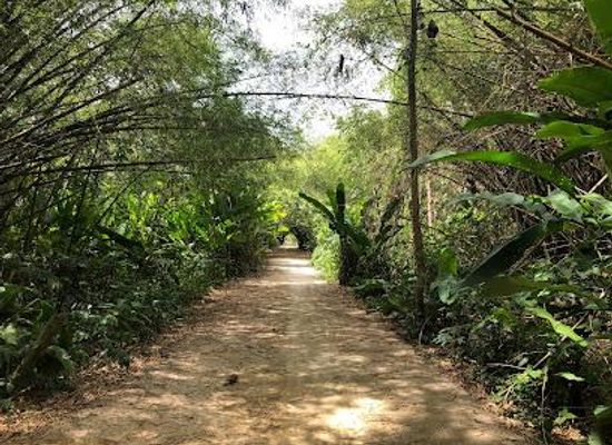 suriname/paramaribo/attraction/peperpot-nature-park