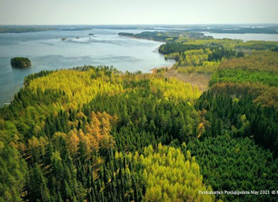 finland/savonlinna/attraction/punkaharju-arboretum
