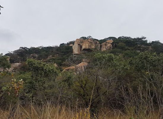 zimbabwe/harare/attraction/national-museums-and-monuments-of-zimbabwe