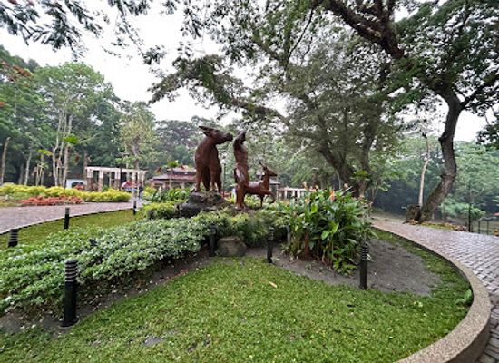 philippines/mimaropa/attraction/calapan-nature-park