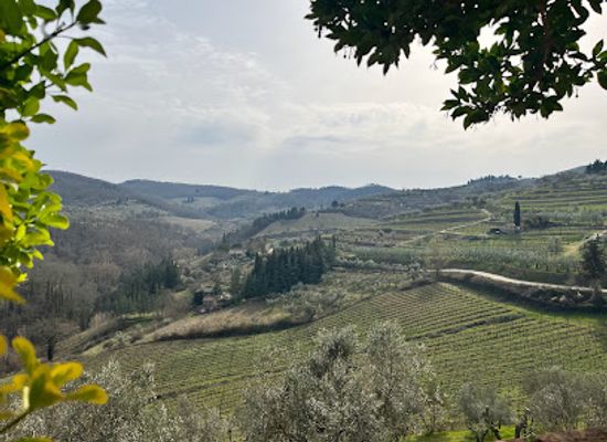 italy/chianti-classico/attraction/panzano-viewpoint