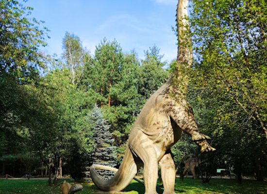 poland/podlachia/attraction/jurajski-park-dinozaurow-farma-grzybow-i-owadow-muzeum-dziejow-ziemi