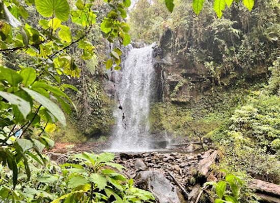panama/david/attraction/pipeline-trail-waterfall