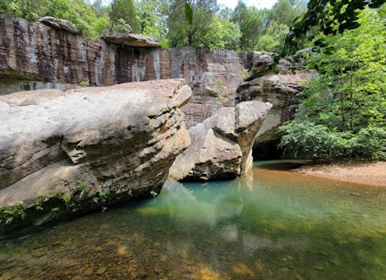 illinois/shawnee-national-forest/attraction/bell-smith-springs-scenic-area