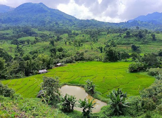 india/arunachal-pradesh/attraction/longding-view-point