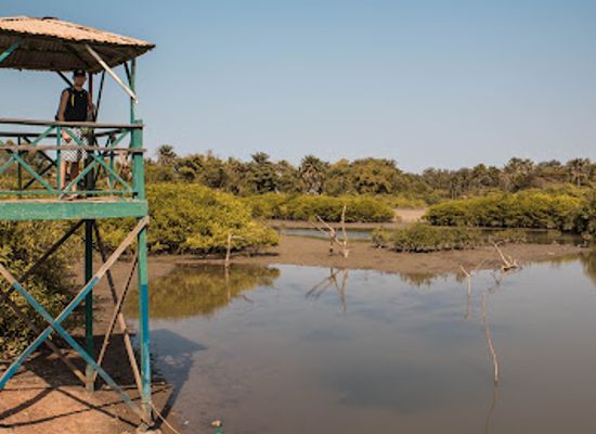 the-gambia/wuli-east/attraction/kotu-bridge