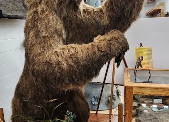 ohio/firelands/attraction/firelands-historical-society