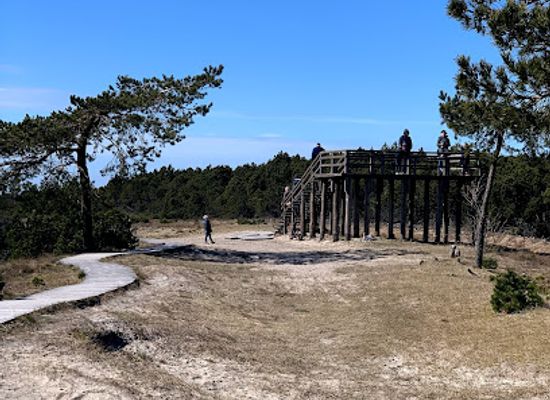 lithuania/curonian-spit-national-park/attraction/vecekrug-dune