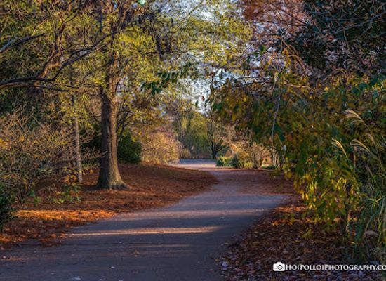 tennessee/highland-rim/attraction/the-parthenon