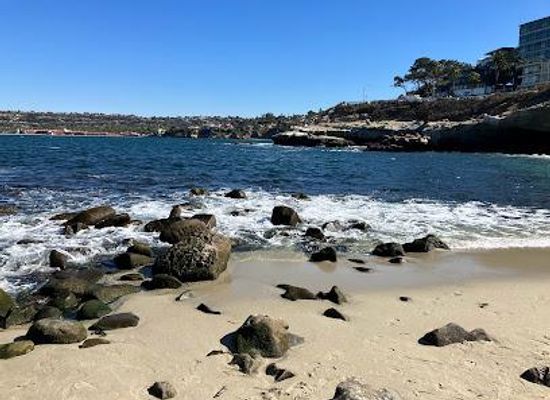 california/san-diego-county/attraction/la-jolla-cove-bridge-club