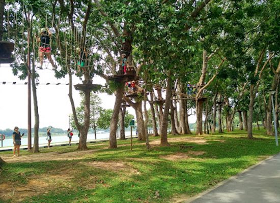 singapore/east-region/attraction/forest-adventure-pte-ltd