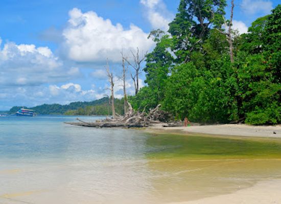 india/andaman-islands/attraction/elephant-beach