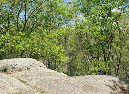massachusetts/the-islands/attraction/den-rock-park