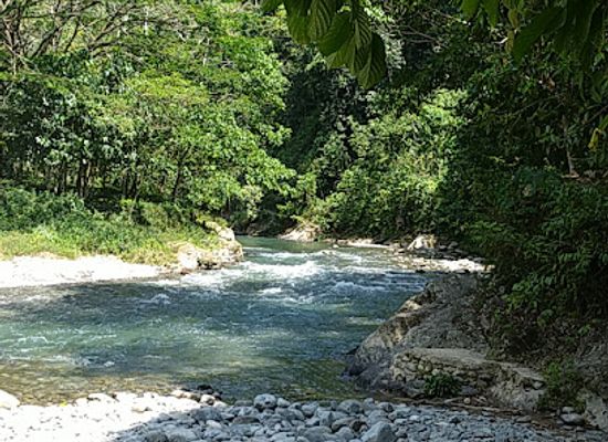 indonesia/bukit-lawang/attraction/wisata-sungai-bukit-lawang