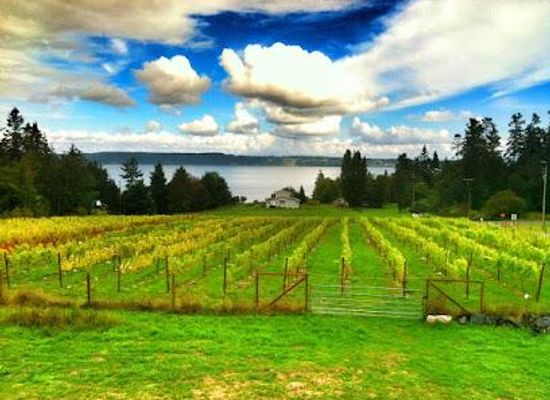 washington/puget-sound/attraction/marrowstone-vineyards
